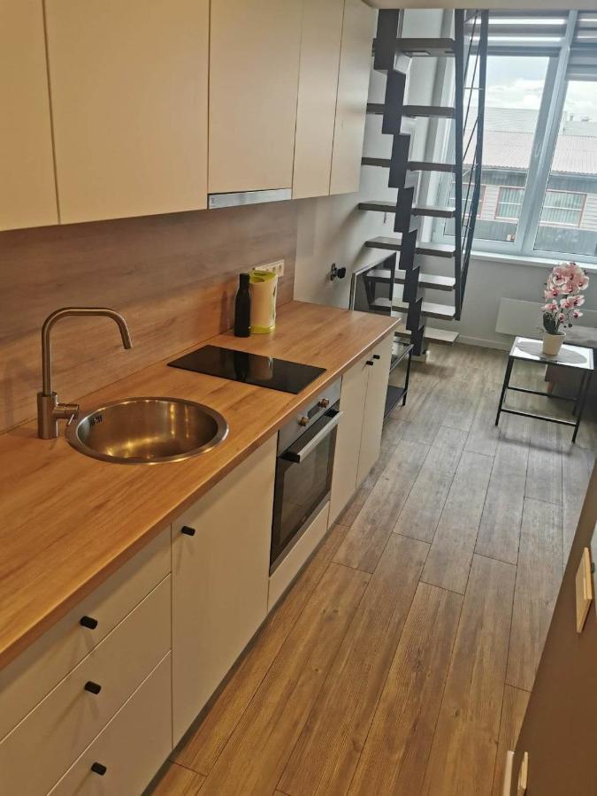 Lofto Tipo 2 Kambariu Butas Apartamento Kaunas Exterior foto